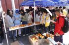 尝柿子、玩游戏，北科大举办柿子文化节助新生了解学校文化